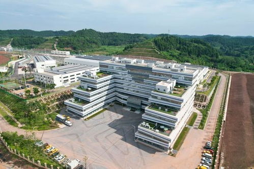 跨江越線筑精品 一軌飛架連雙城 軌道交通資陽(yáng)線車(chē)站正式亮相