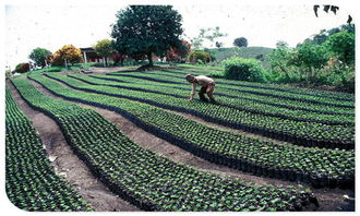 北票市聲測管報價 廠家